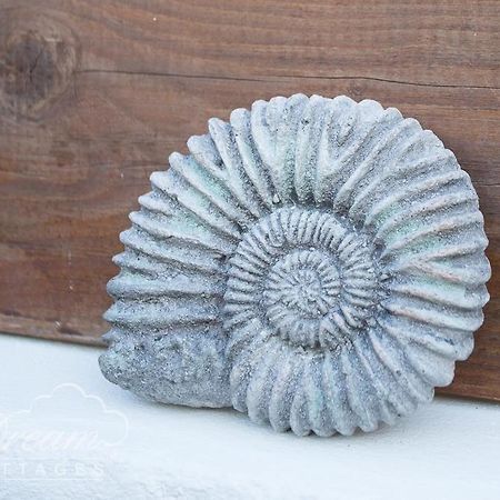 Ammonite Cottage Portland Exterior photo
